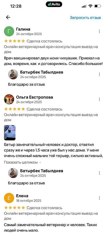 ветеринарная клиника на дом: Салам алейкум. Меня зовут Батыр, я ветеринар. Несколько лет я работал — 8