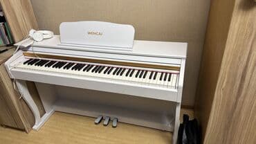 видео студия: Полноактавное акустическое пианино,цвет белый и черный, усиленный — 7