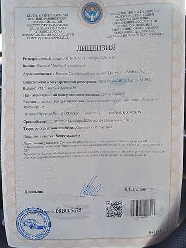 kg grup: Бус Рекс Спринтер 18-20 мест Иссык куль, Чолпон Ата, Бостери — 8