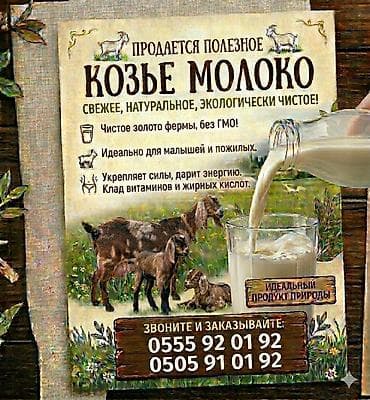 хлеб на корм животным: Молоко англонубийских коз. - Натуральное козье молоко нежный сливочный — 1