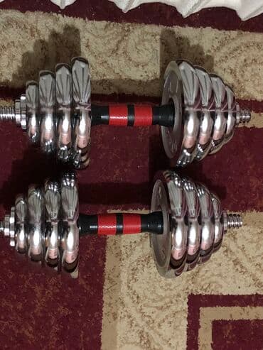 набор гантель в чемодане flexter: Срочна гантел сатам 15+15=30 Алыныт жана кошулат Качество и гарантия — 2