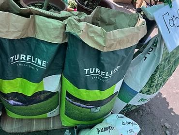 семена травы: Газонные семена DLF / TURFLINE - Профессиональные смеси для — 3