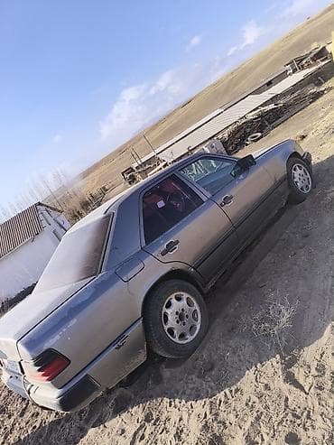 Продажа авто: Mercedes-Benz W124: 1987 г., 2.9 л, Механика, Дизель, Седан — 1