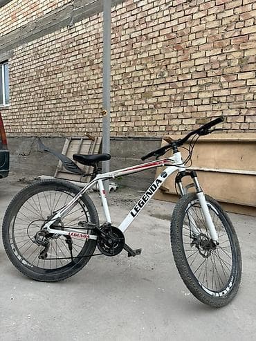 томас игрушка: Горный велосипед, Рама M (156 - 178 см), Сталь — 4