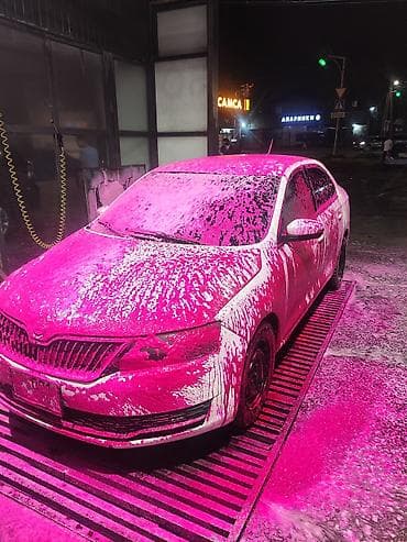 range river: Skoda Rapid: 2017 г., 1.6 л, Механика, Бензин, Седан — 9