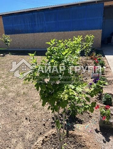 калыс ордо 1: ‼️ ПРОДАЁТСЯ КОТТЕДЖ НА ИССЫК-КУЛЕ — ГОТОВЫЙ БИЗНЕС! ‼️ 🔷 📍 — 2