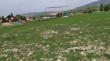 Lixiang: 10 соток — 3