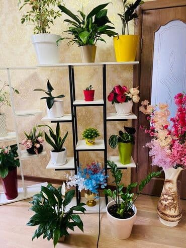 полка для цветок: Цветочница Цветочные полки Цветочные горшки Стеллаж Полки классика — 11