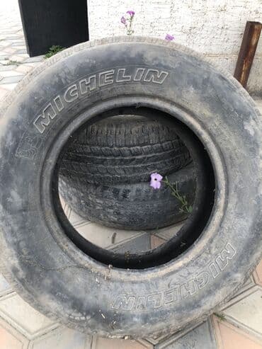 шины на погрузчик бу: Шины R 16, Лето, Б/у, Пара, Франция, Michelin — 1