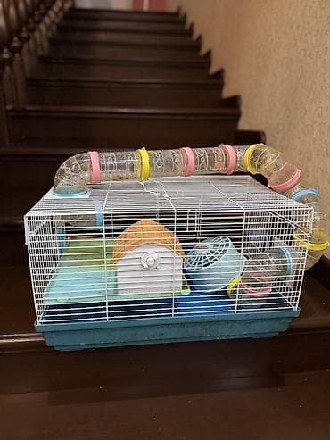 продаю животных: Клетка для хомяка с игровым тоннелем и аксессуарами - Просторная — 2