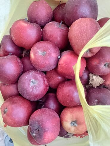 Мөмө-жемиштер: Алмалар Крипсон, Чекене — 6