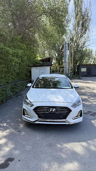 дверь сапог: Hyundai Sonata: 2021 г., 2 л, Автомат, Газ, Седан — 7