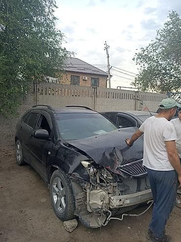 rx 200: Lexus RX: 2003 г., Автомат, Бензин, Кроссовер — 1