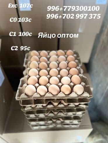 Яйцо куриное оптом. - Классы и цены (с указанных на фото): - Экстра