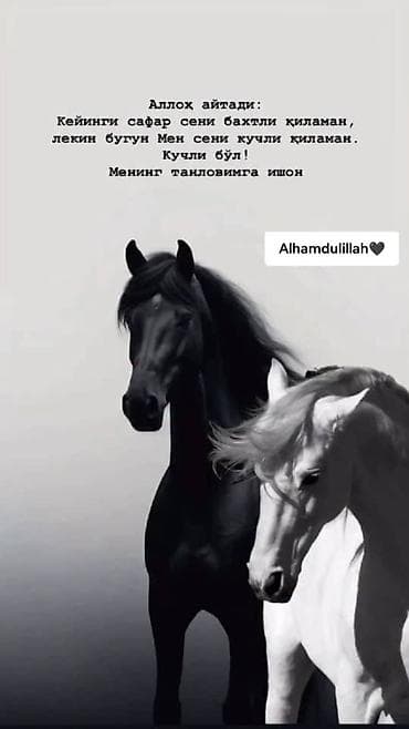 daf 75: Daewoo Matiz: 2005 г., 0.8 л, Механика, Бензин — 1