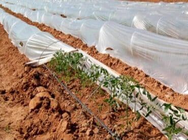 металлический мусорный контейнер купить бишкек: Пленка для теплиц и парников Назначение: - Укрытие стационарных — 4