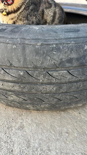 mazda primacy: Пара автомобильных шин 215/55 R17 Особенности: - Размер: 215/55 R17 - — 4