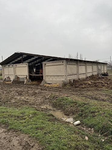 ковер 2 5: Доставка и установка. Железобетонные заборные плиты ограждения — 4