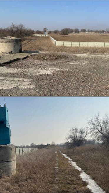 ночь ош: 126 соток, Для бизнеса, Красная книга, Договор купли-продажи — 4