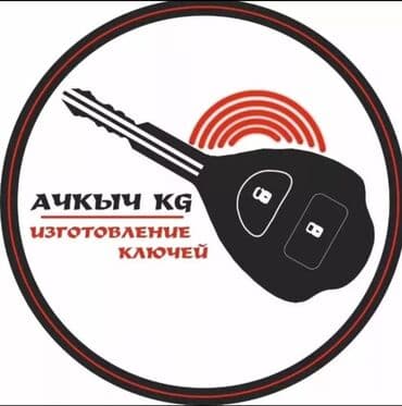 антивирусы esd электронный ключ: Ключ Hyundai — 7