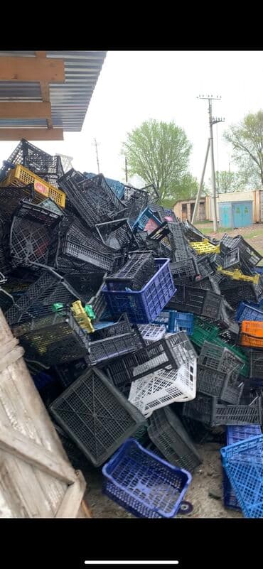 очок ош: Прием пластика — 1