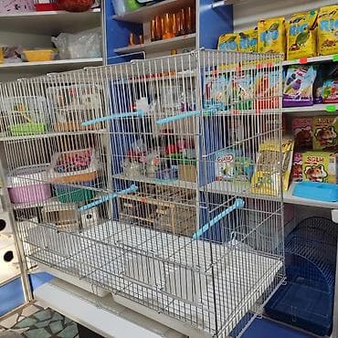 Үй жаныбарлары: Клетки для птиц — 1