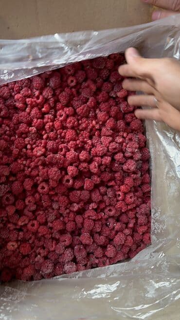 оборудование для мороженого: Замороженные фрукты, ягоды, Малина, Шоковая, Оптом — 2