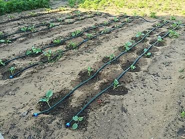 лента капельного полива: Новая капельная лента 16 мм × 0,23 мм (~2000 м) + переходники — не — 1