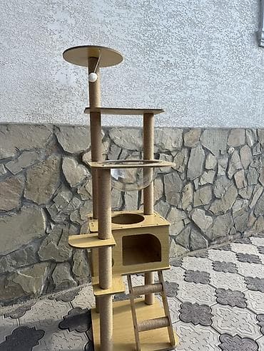 футболка цена: Игровой комплекс для кошек с домиком, гамаком-куполом и когтеточками — 3