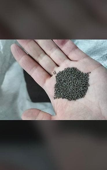 Эмерек: Уруктар тоют өсүмдүктөрүнүн: Беде, Өзү алып кетүү, Акылуу жеткирүү — 2