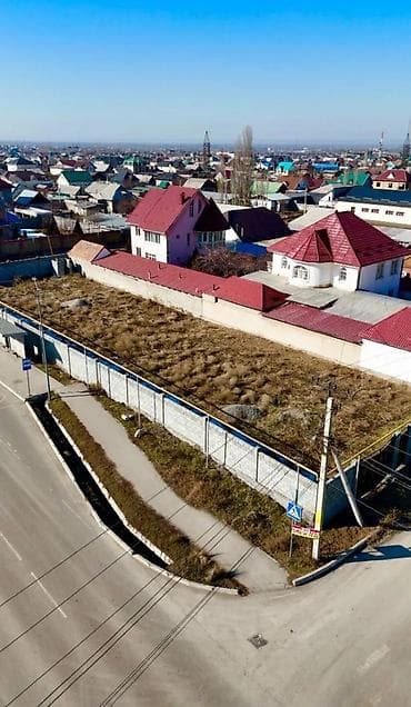 орго: 12 соток, Курулуш, Кызыл китеп, Сатып алуу-сатуу келишими — 1
