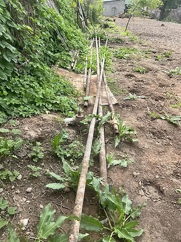 Металлопрокат: круглые трубы, Сталь, Бесшовная, Без покрытия