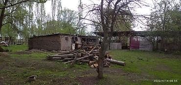 купить сорокатонник: Участок сатылат 35сотых 2ком времянкасы менен баня Жана мал бакканга — 4