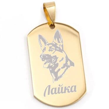 ящик для документов: Адресники большие с вашей надписью(имя, номер телефона) на ошейник — 4