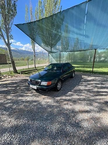 Audi 100: 1993 г., 2.6 л, Бензин, Седан