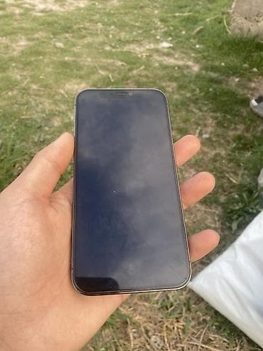 мониторы компьютера: IPhone 13 Pro, Графит — 4