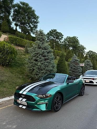 ford mustang купить: Ford Mustang: 2018 г., 2.3 л, Автомат, Бензин, Кабриолет — 1