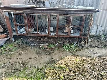 продаю вальер: Клетка для кроликов звоните: Уличный вольер/клетка для мелких — 1