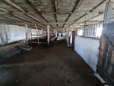 дом в районе кызыл аскер: Продаю Кошара, 600 соток, Действующий, С оборудованием, Электричество, Скважина — 16