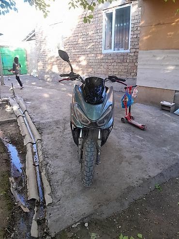 eagle eyes: Скутер (класс 50–150 см³), спортивный дизайн, цвет — 5