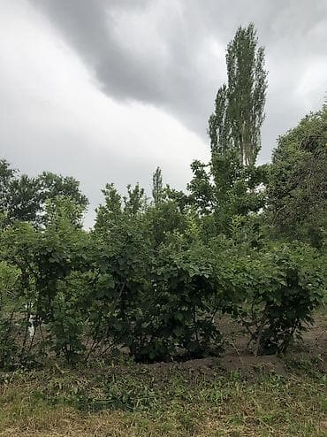 elegance stroy: 9500 соток, Для строительства, Красная книга, Тех паспорт, Договор купли-продажи — 7
