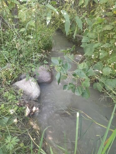 продаю дом село арашан: Дом, 75 м², 5 комнат — 32