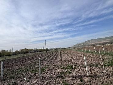 земля карабалта: 14 соток, Для сельского хозяйства — 1