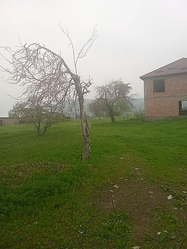 саламат курулуш: 36 соток, Курулуш — 2