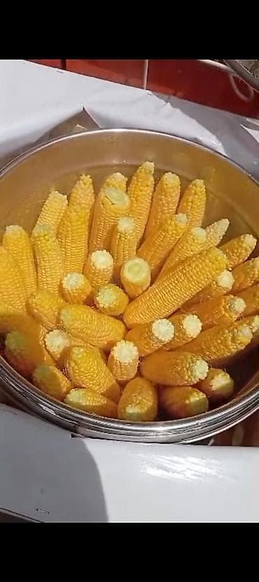 Аппарат для приготовления горячей кукурузы (кукурузоварка) - — 2
