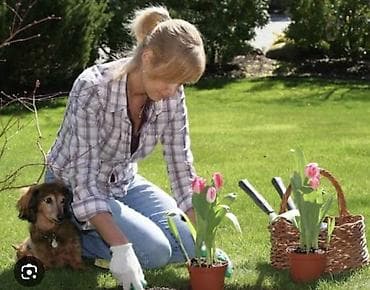 Мне нужен садовник по уходу за садом и озеленению - Посадка цветов