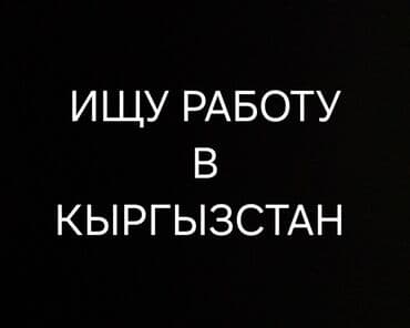 домашний персонал работа: Ищу работу в Джалал-Абаде. Формат: изображение с текстом «ИЩУ РАБОТУ — 1
