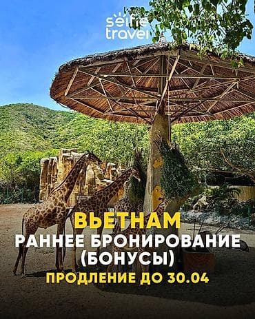 мот билет: 🇪🇺помощь с шенген визы для граждан кыргызстана 📌 полное сопровождение — 7
