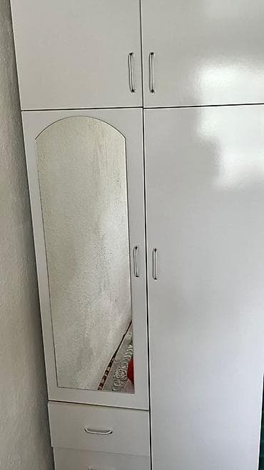 Шифоньер, шкаф для одежды, Прямой, ЛДСП