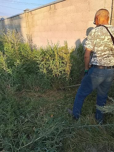 розы кусты: Уборка территории, Стрижка газона — 4